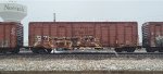 IANR 11435